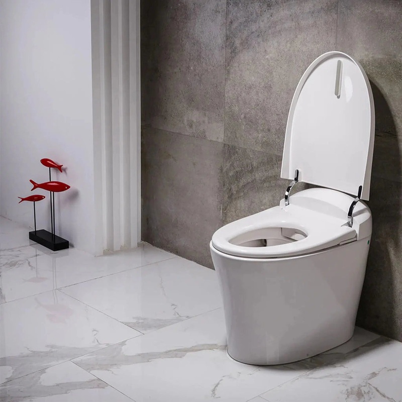 Trone Fountina White Elongated Electronic Luxury Toilet With Integrated Bidet