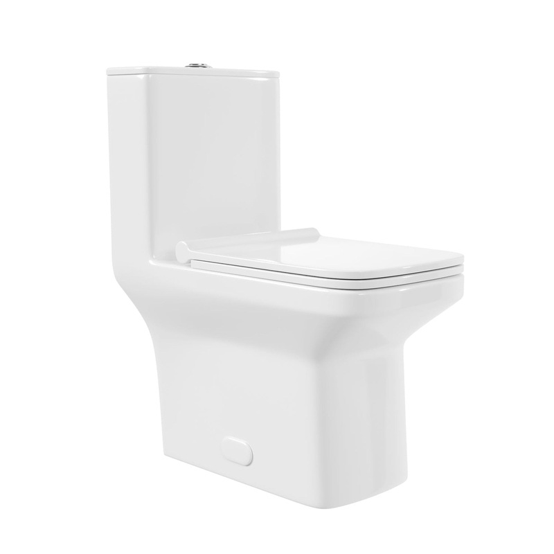 DeerValley Ace 31" H Dual-Flush Rectangular White One-Piece Toilet With Soft Closing Seat