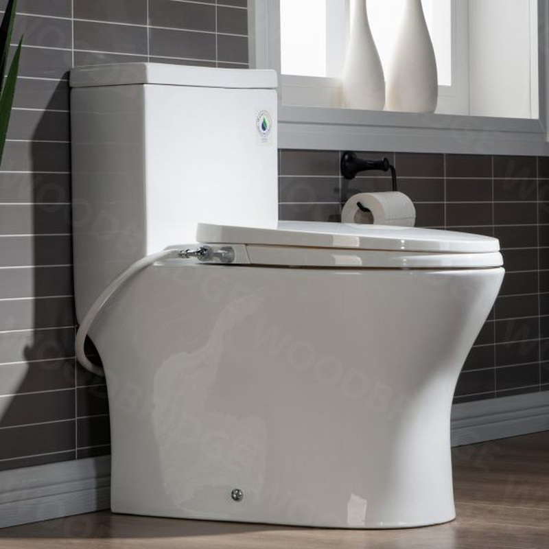 WoodBridge T-0045 White Modern One Piece Elongated High Effiency Toilet With Manual Operated Soft-Closed Toilet Seat