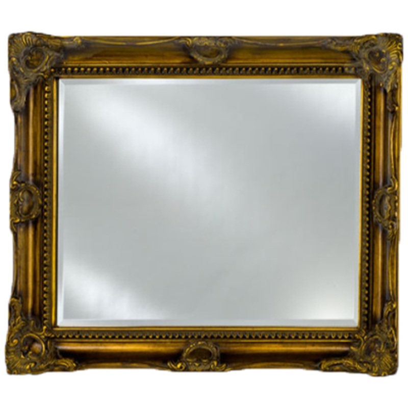 Afina Estate 51" x 40" Antique Burnished Gold Vanderbilt Royale Frame With 1" Bevel Mirror