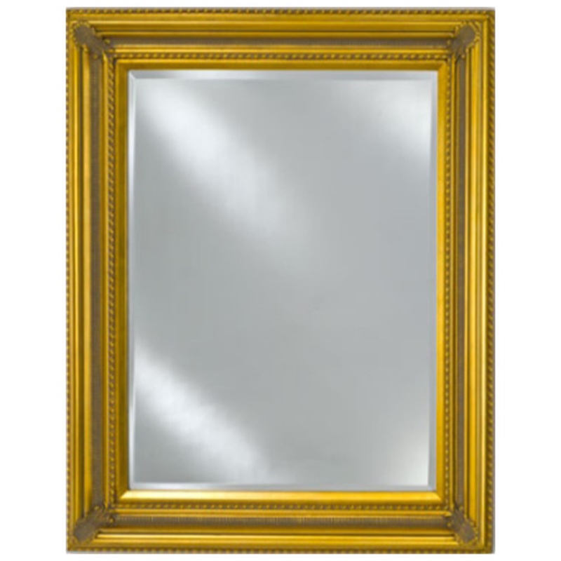 Afina Estate 51" x 40" Antique Gold Distinctive Wood Framed With 1" Bevel Mirror